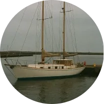 Timo S.